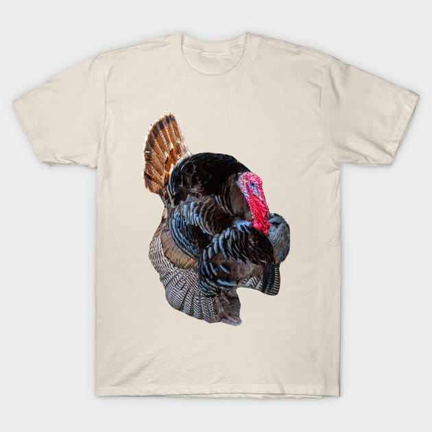 Strutting Turkey T-Shirt by dalyndigaital2@gmail.com